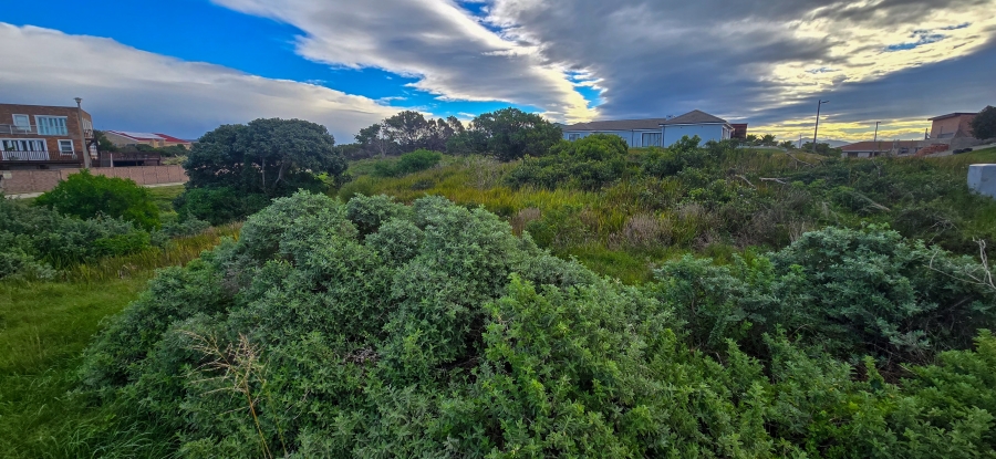 0 Bedroom Property for Sale in Paradise Beach Eastern Cape